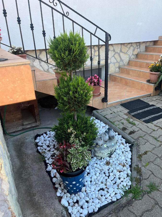 Rege Apartman Alsoors Bagian luar foto