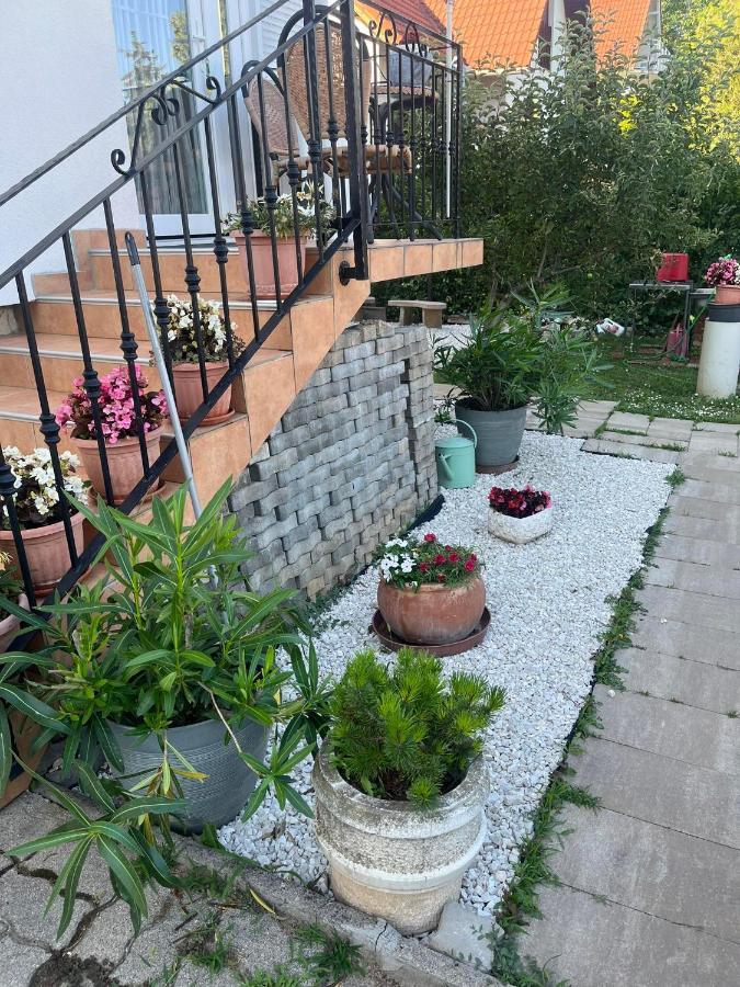 Rege Apartman Alsoors Bagian luar foto